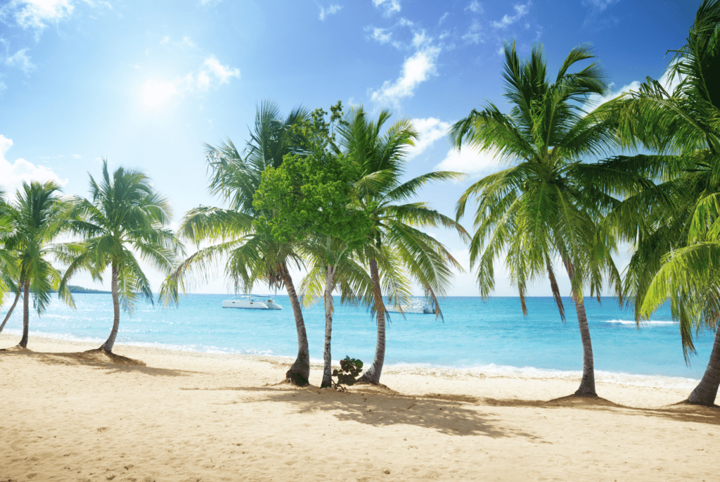 Réservez votre Taxi en Guadeloupe